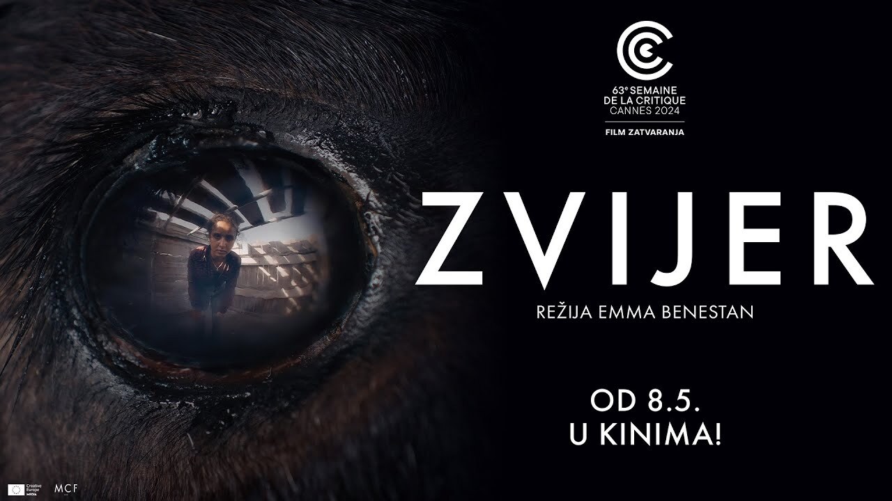 Zv 2